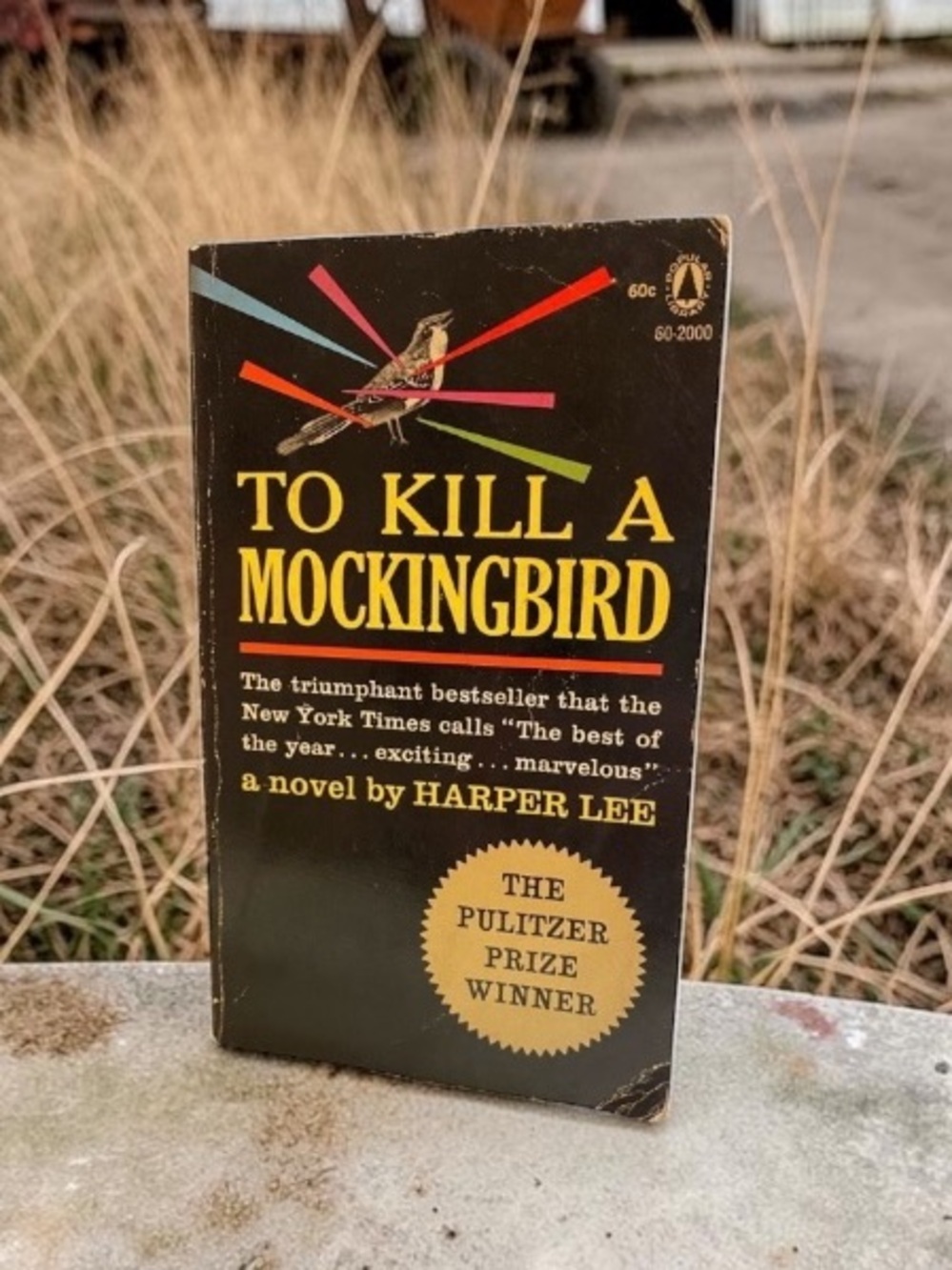 “TO KILL A MOCKINGBIRD” Soft Cover Book Copyright 1960/Published in 1962